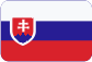 Gründung der Firmen in der Tschechischen Republik Slovensky